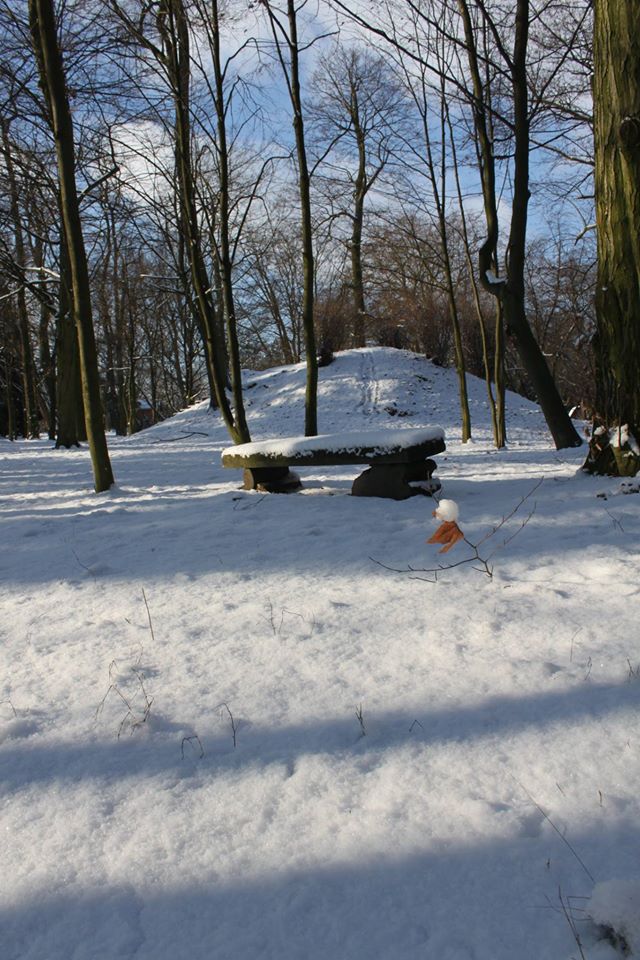 Ślimacza górka w parku w Dobrzycy